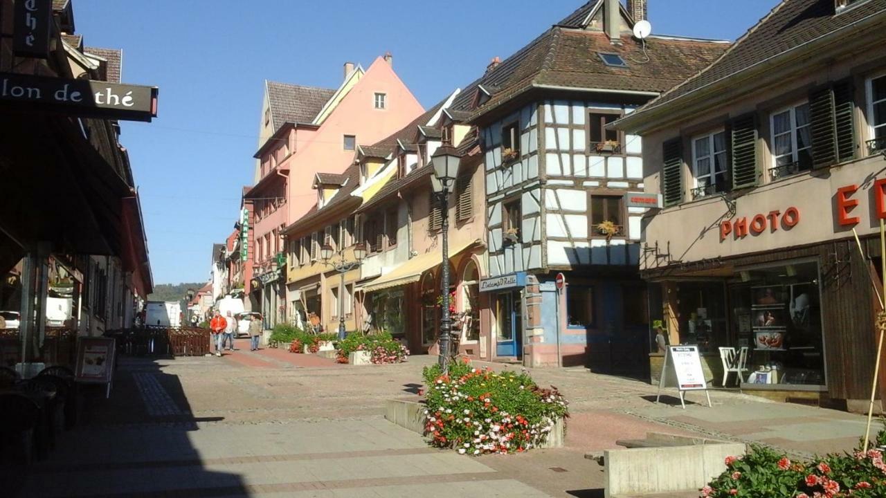 Apartmán Maison Bleue Saverne Exteriér fotografie