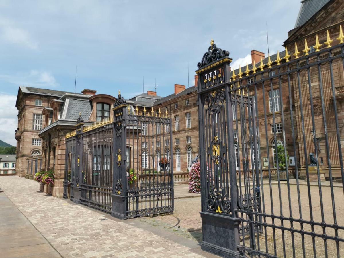 Apartmán Maison Bleue Saverne Exteriér fotografie